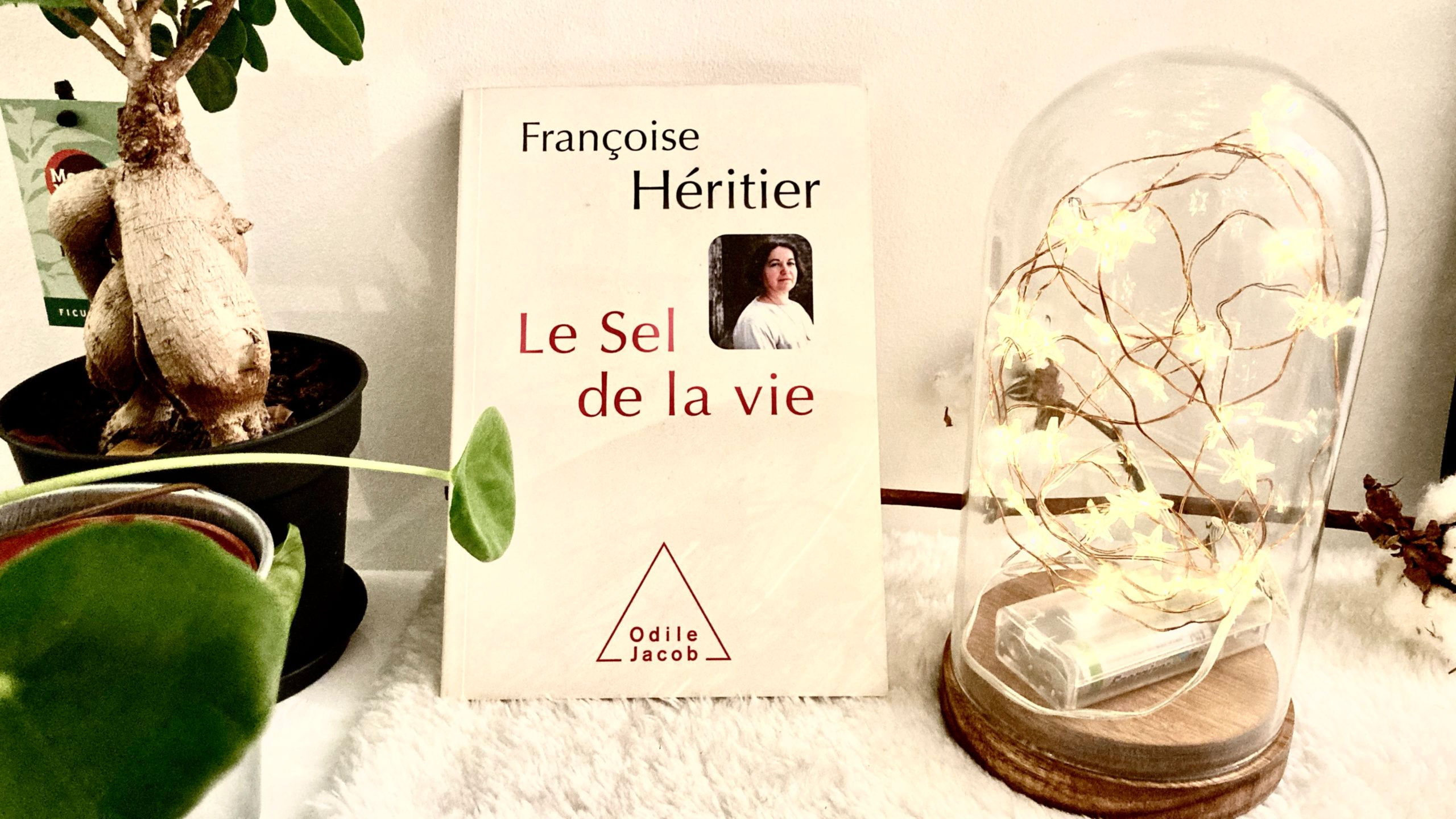 Le sel de la vie – Françoise Héritier