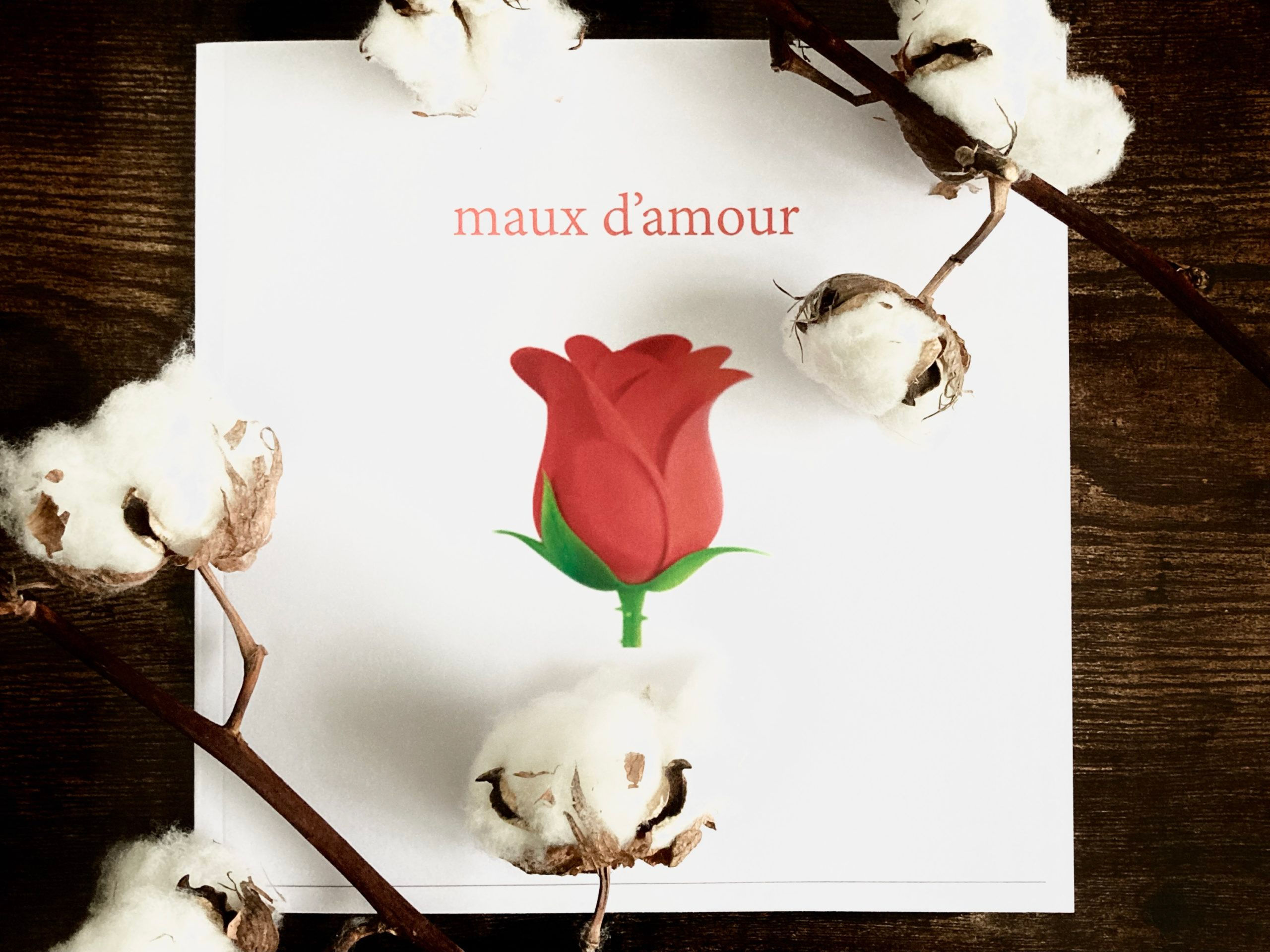 Maux d’amour – Gael Barboza