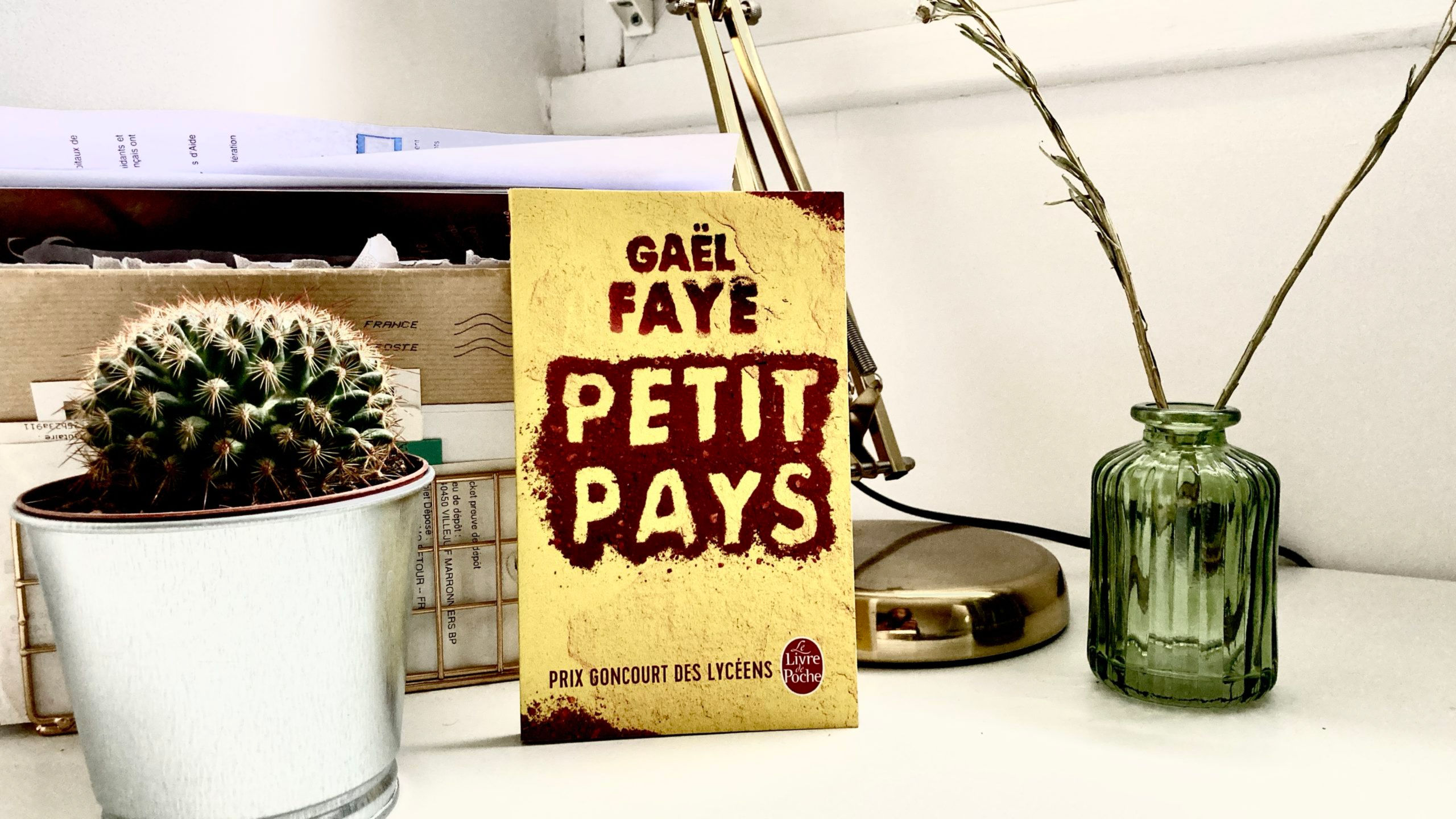 Gaël Faye – Petit pays